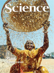 File:Cover Science 2007.316.png